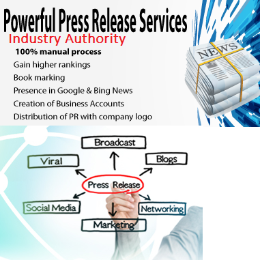 Press Release Service (Let Us Create Your Industry Authority)