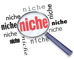 How to Research and Find Your Niche Online