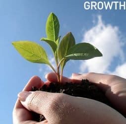 5 Ways To Sustain Your Business Growth Consistently